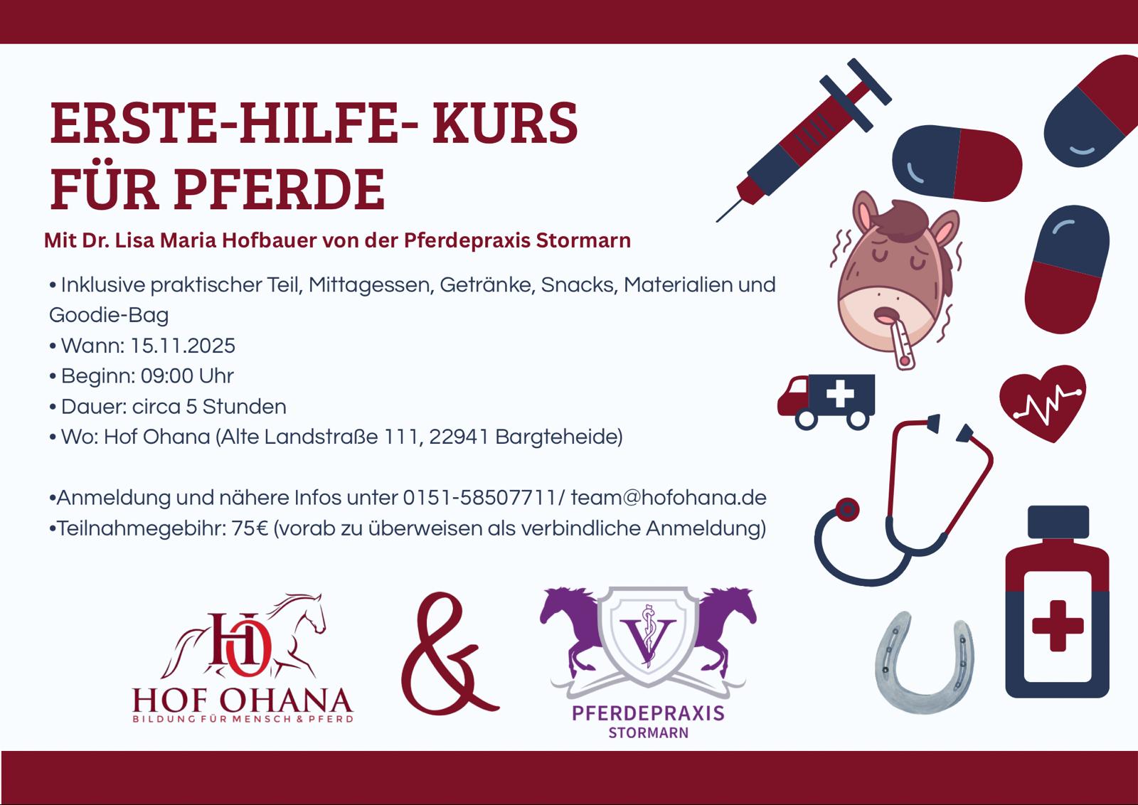 Erste Hilfe-Kurs für Pferdehalter